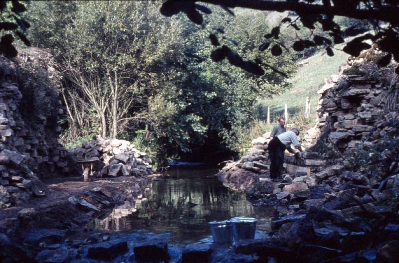 60er Jahre Bild Nr.067